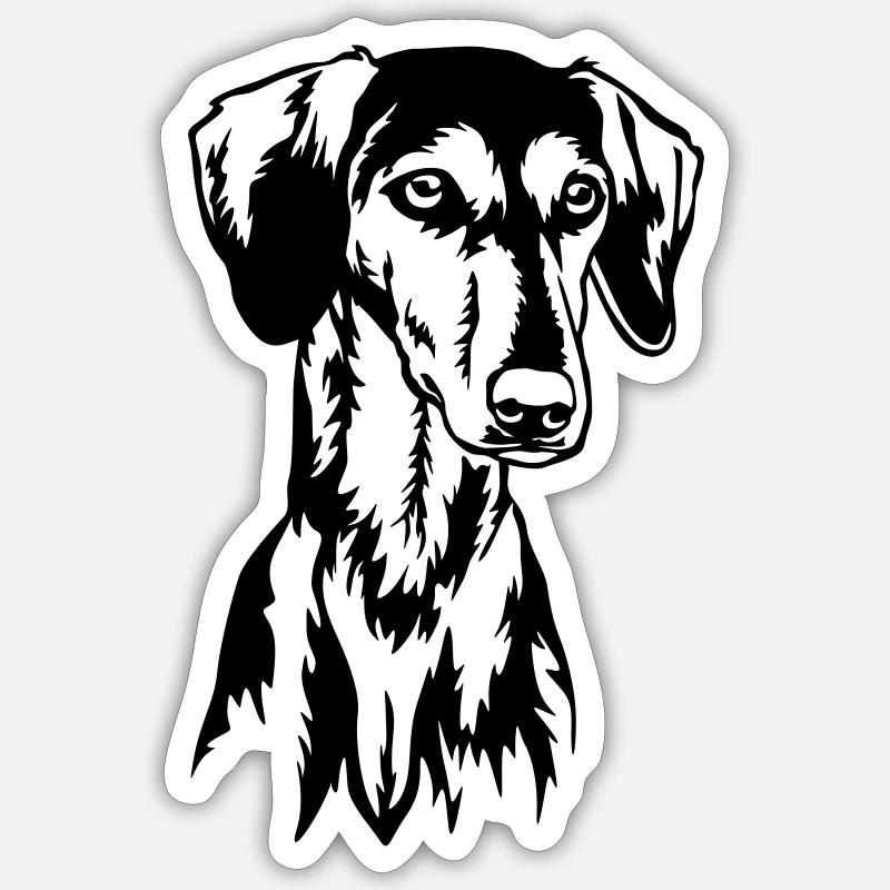 Saluki Kopf - Sticker Größe S (10 x 10 cm) - Mattweiß