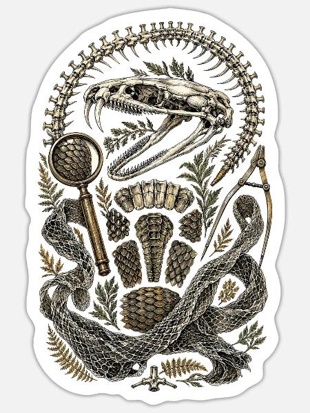 Herpetologie Herpetologe - Sticker Größe S (10 x 10 cm) - Mattweiß