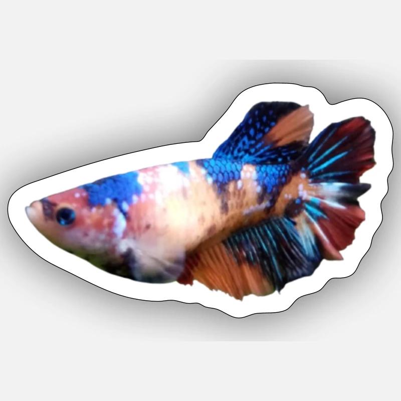 Combattant Sticker taille S (10 x 10 cm)