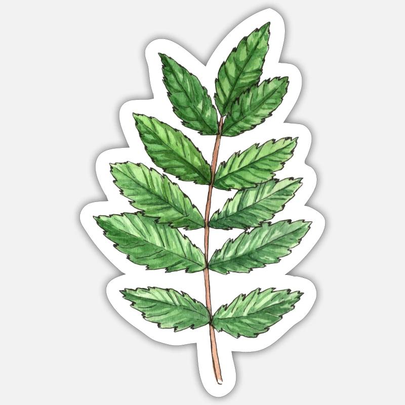 Blatt einer Esche - Sticker Größe S (10 x 10 cm) - Mattweiß