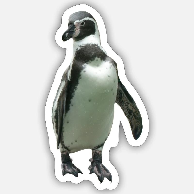 Sticker størrelse S (10 x 10 cm) -