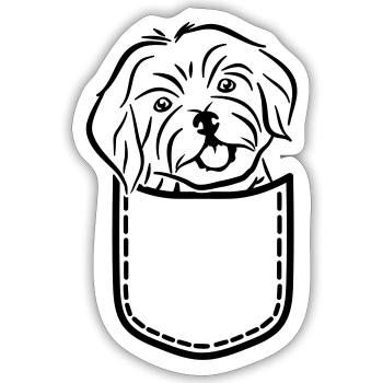 Havanese - Sticker size S (10 x 10 cm) - white matte - Front