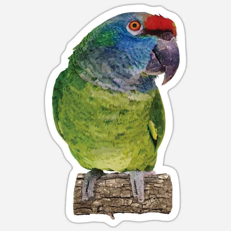 L’amazone à dos rouge - Sticker taille S (10 x 10 cm) - blanc mat