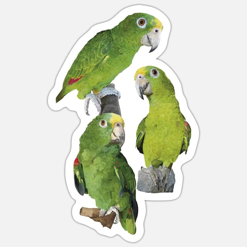 Le perroquet royal amazonien - Sticker taille S (10 x 10 cm) - blanc mat