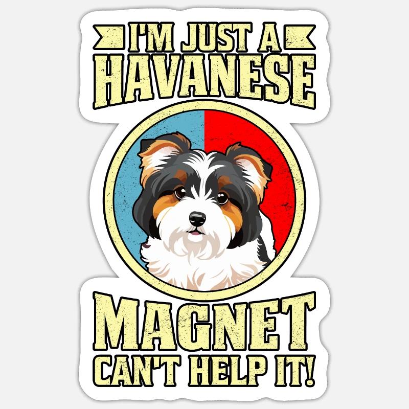 I'm just a Havanese Magnet can't help it Sticker Größe S (10 x 10 cm)
