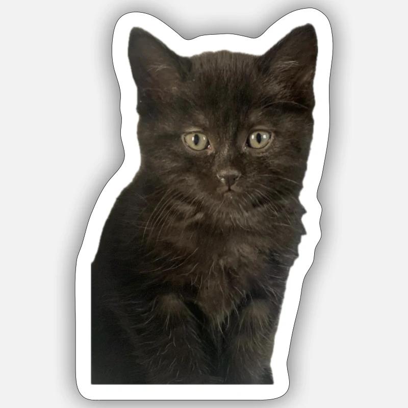 Enchanted Kitten Sticker size S (10 x 10 cm)