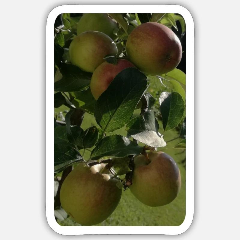 ÄPFEL - Sticker Größe S (10 x 10 cm) - Mattweiß