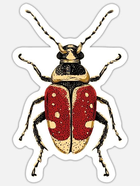 Maikäfer Süßer Hirschkäfer Nashornkäfer Insekten - Sticker Größe S (10 x 10 cm) - Mattweiß