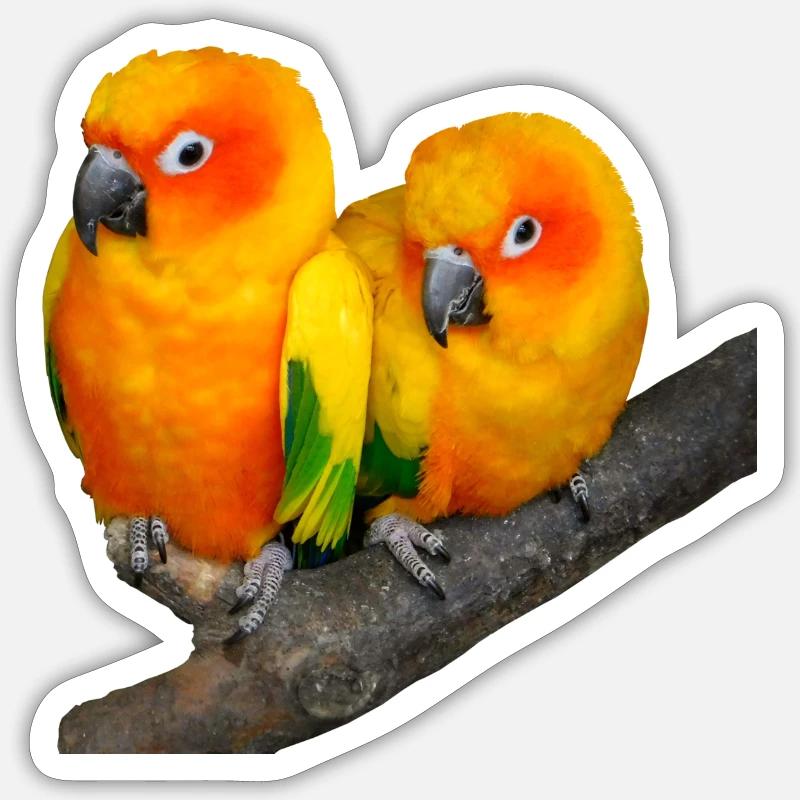 Oiseaux - Sticker taille S (10 x 10 cm) - blanc mat