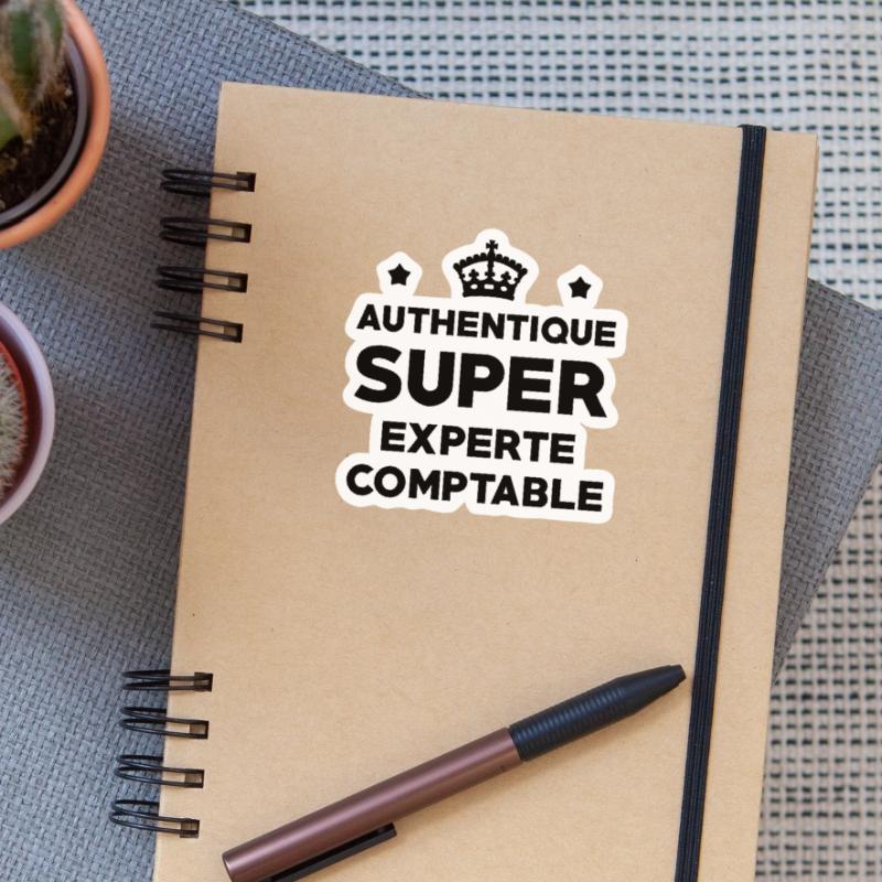 Expert Comptable / Comptabilité / Comptable / Sticker taille S (10 x 10 cm)