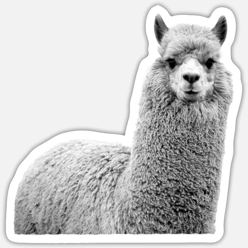 Alpaka - Sticker Größe S (10 x 10 cm) - Mattweiß