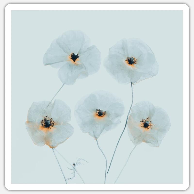 Mohn Blumen Blau Orange - Sticker Größe S (10 x 10 cm) - Mattweiß