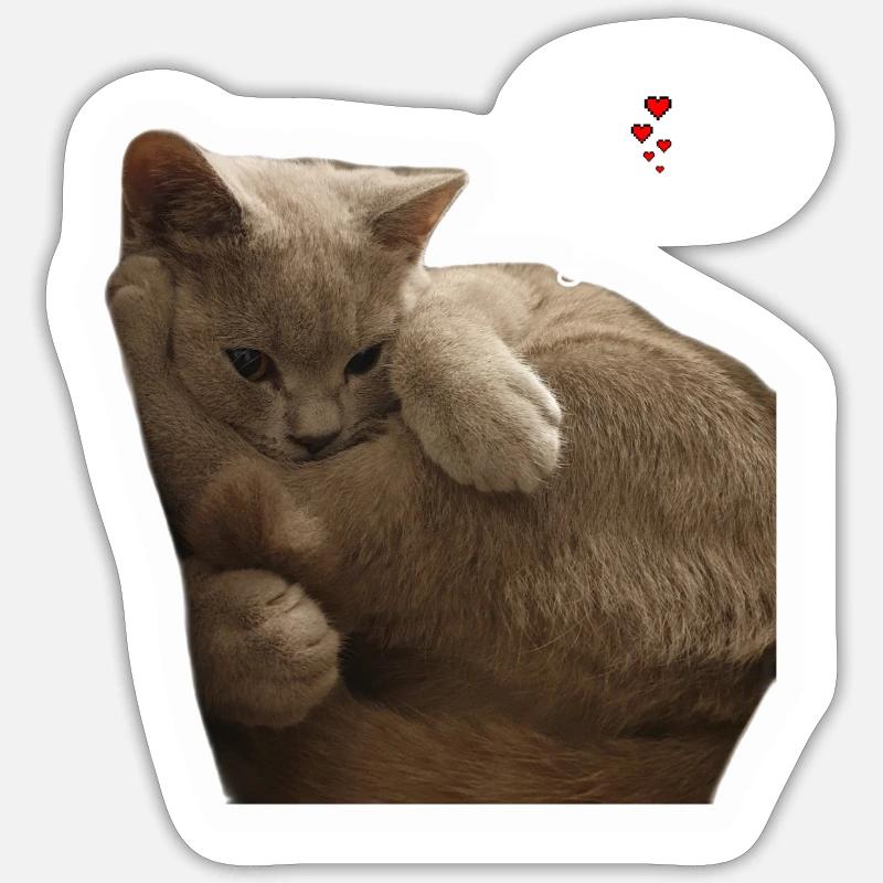 CATLOVER - Sticker Größe S (10 x 10 cm) - Mattweiß