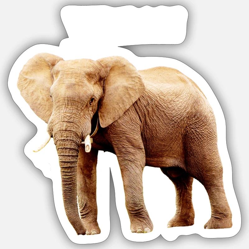 Éléphant végétalien - Sticker taille S (10 x 10 cm) - blanc mat