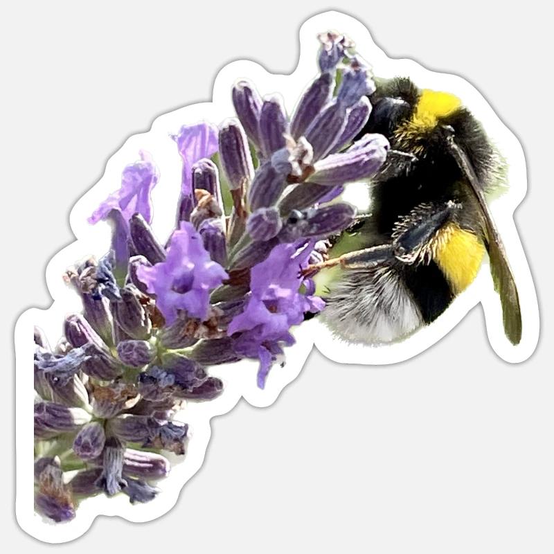 Lavender Bumblebee - Sticker size S (10 x 10 cm) - white matte