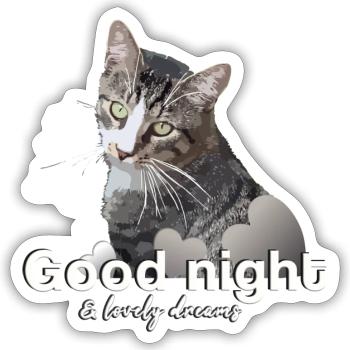 Schlafshirt gute Nacht good night - Sticker Größe S (10 x 10 cm) - Mattweiß - Vorne