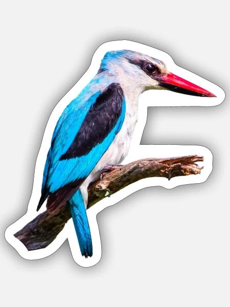 Woodland_Kingfisher - Sticker Größe S (10 x 10 cm) - Mattweiß