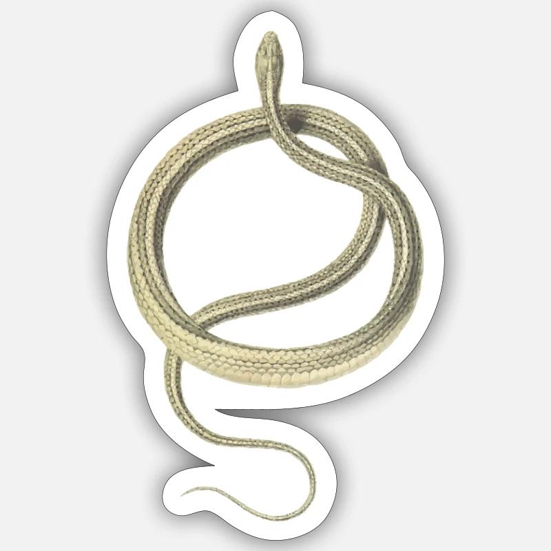 serpent - Sticker taille S (10 x 10 cm) - blanc mat