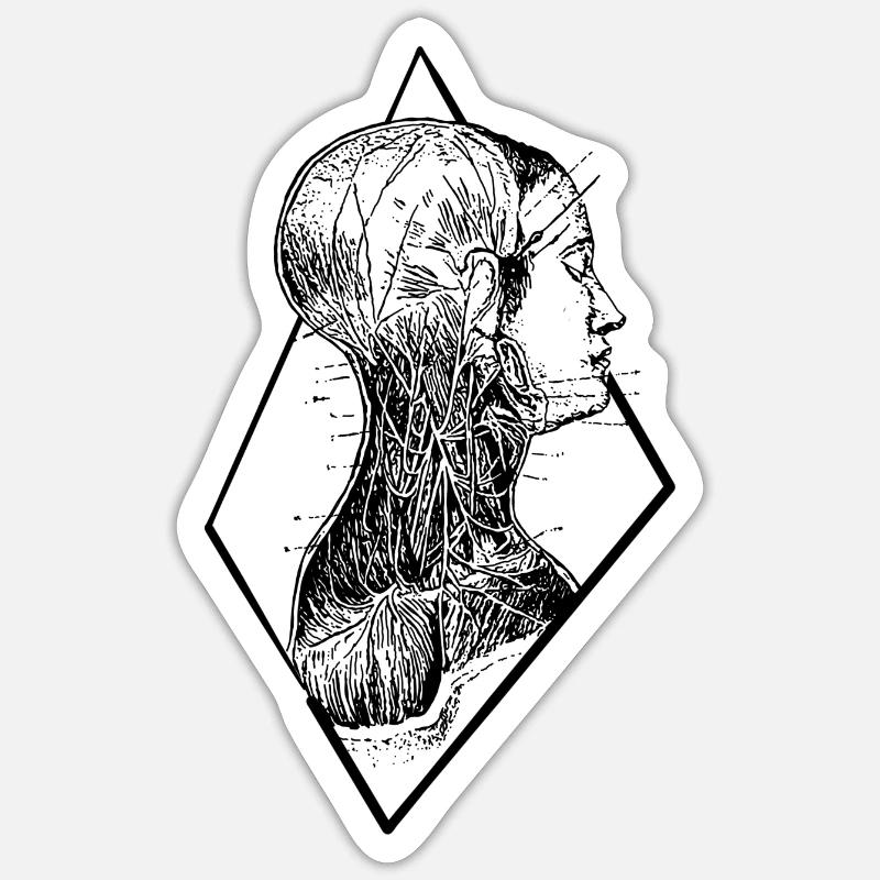 anatomie - Sticker Größe S (10 x 10 cm) - Mattweiß