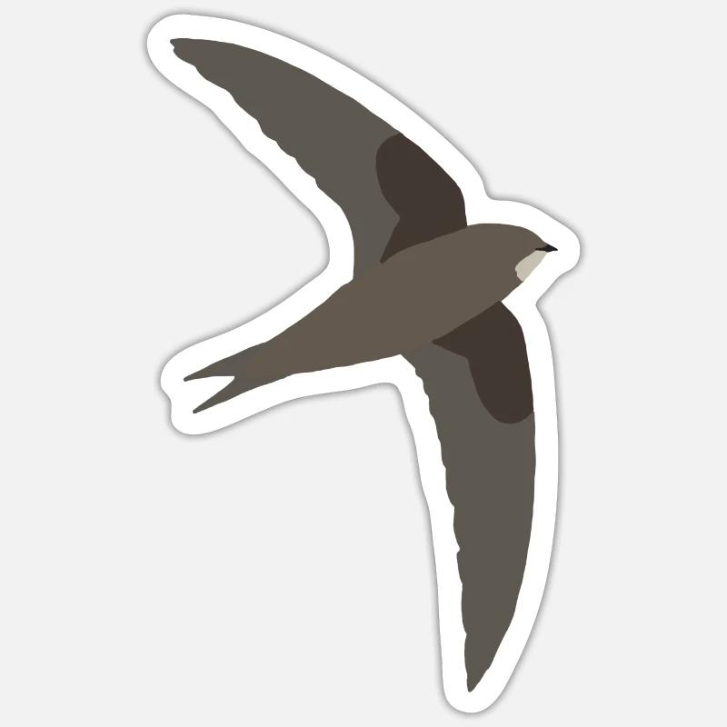 common swift - Sticker size S (10 x 10 cm) - white matte