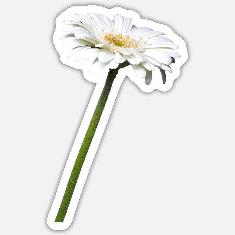 wise Gerbera I exempted Sticker size S (10 x 10 cm)