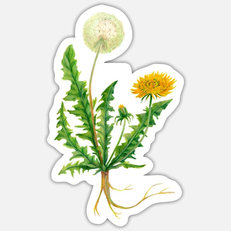 Löwenzahn - Sticker Größe S (10 x 10 cm) - Mattweiß