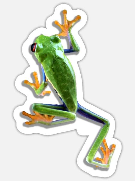 Rotäugiger Laubfrosch Frosch Keeper Frosch Fan - Sticker Größe S (10 x 10 cm) - Mattweiß