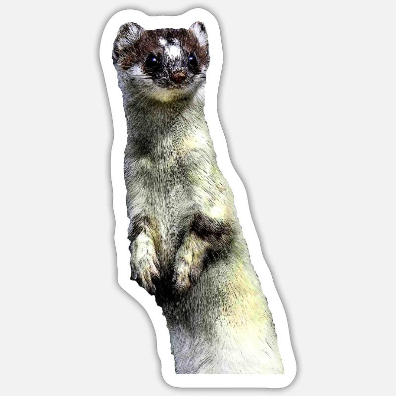 hermine - Sticker taille S (10 x 10 cm) - blanc mat
