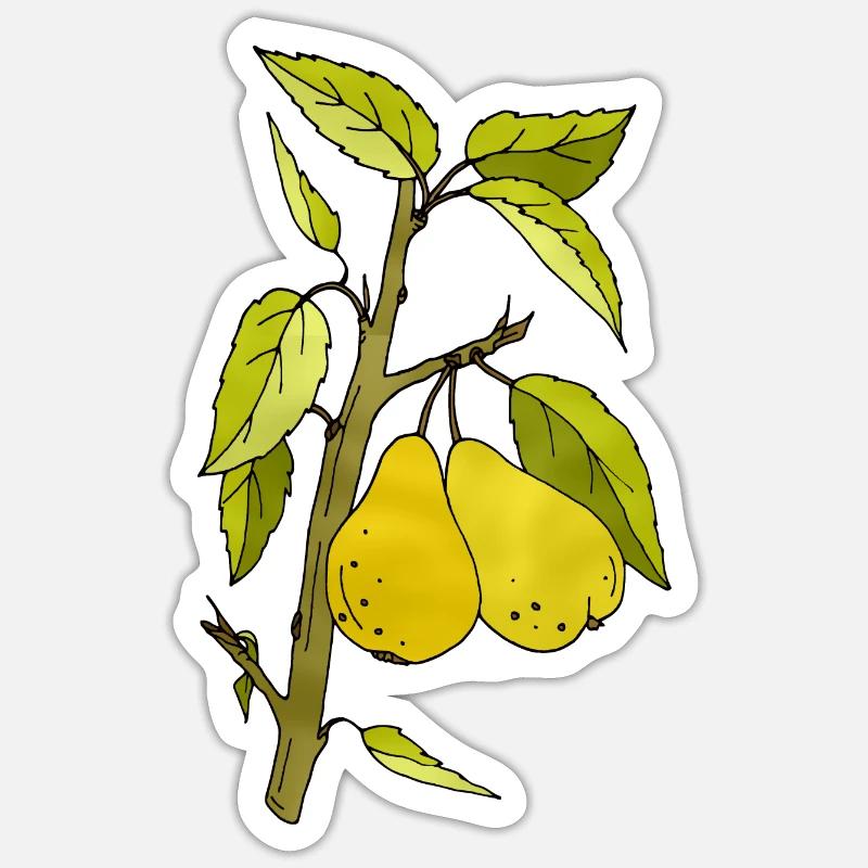 Pears - Sticker size S (10 x 10 cm) - white matte