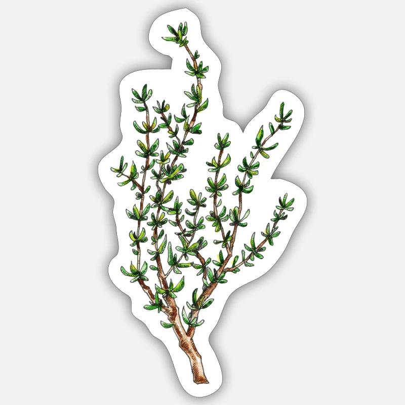 thym - Sticker taille S (10 x 10 cm) - blanc mat