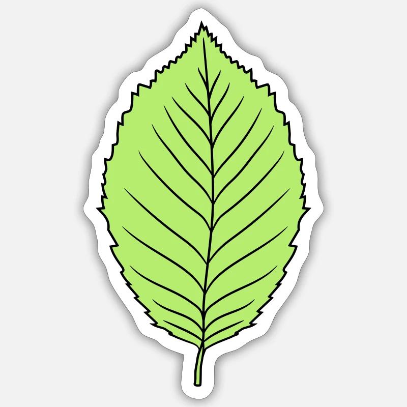 buche blatt baum pflanze form clipart design wald Sticker Größe S (10 x 10 cm)