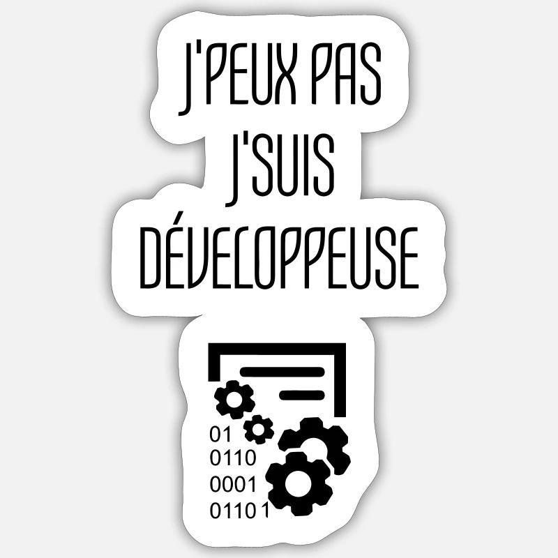Entwickler / Informatiker / Programmierer / Sticker Größe S (10 x 10 cm)