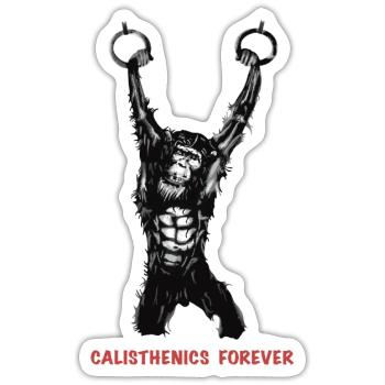 Calisthenics Evolution - Gymnastikringe - Sticker Größe S (10 x 10 cm) - Mattweiß - Vorne
