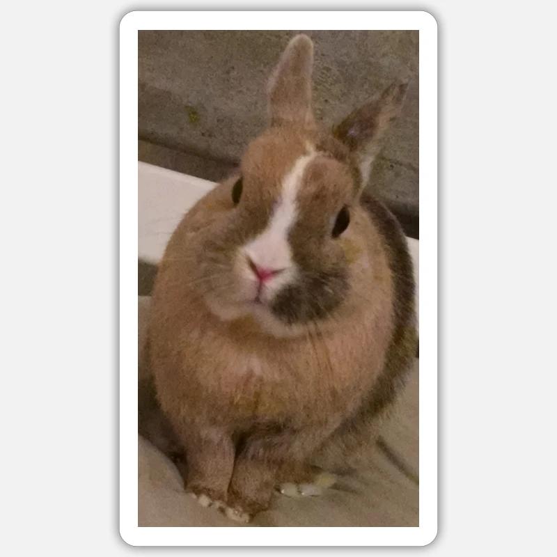 Lapin - Sticker taille S (10 x 10 cm) - blanc mat