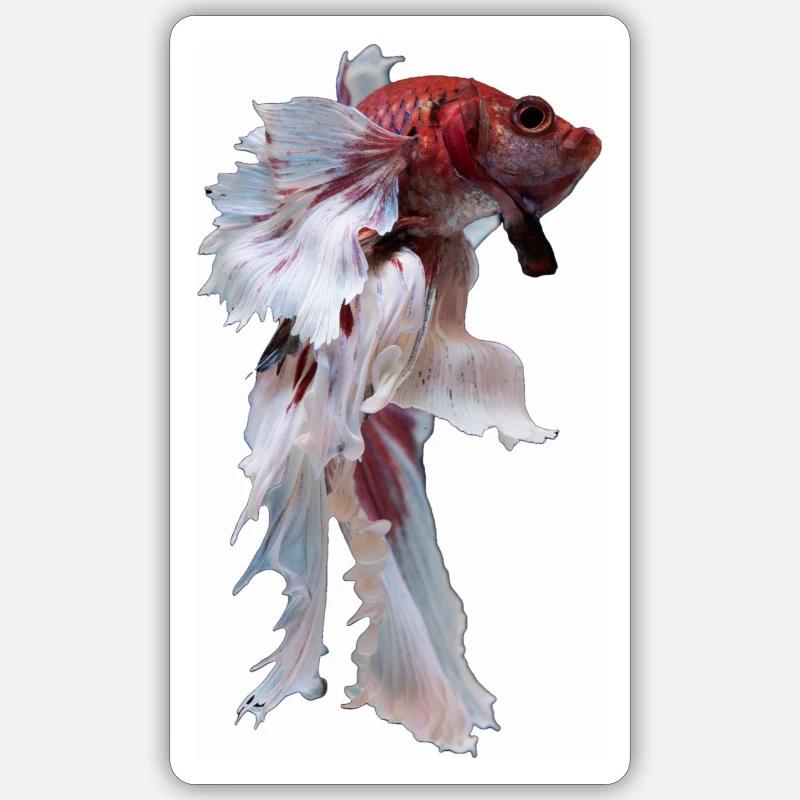 Betta, betta fish Sticker Größe S (10 x 10 cm)