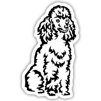 Pudel - Sticker Größe S (10 x 10 cm) - Mattweiß - Vorne