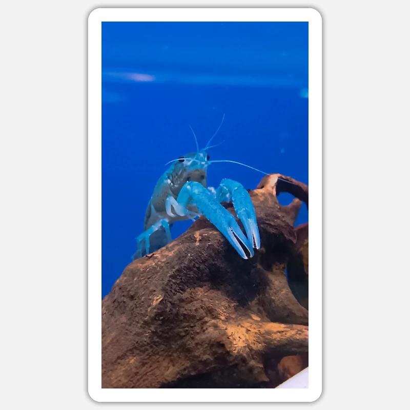 BlueCrap - Sticker size S (10 x 10 cm) - white matte