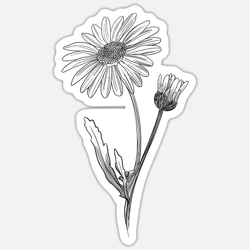 Vintage botanisches Gänseblümchen - Sticker Größe S (10 x 10 cm) - Mattweiß