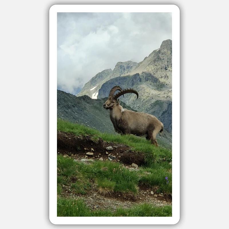 Ibex - Sticker size S (10 x 10 cm) - white matte