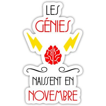 les génies naissent en Novembre - Naissance - Sticker taille S (10 x 10 cm) - blanc mat - Devant