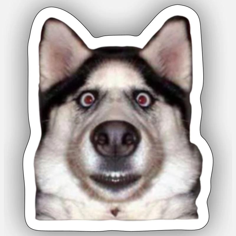 Drôle de chien - Sticker taille S (10 x 10 cm) - blanc mat