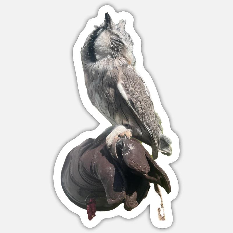 Eule - Sticker Größe S (10 x 10 cm) - Mattweiß