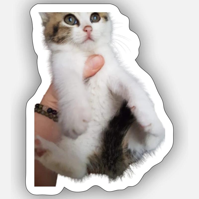 Mon petit chaton - Sticker taille S (10 x 10 cm) - blanc mat