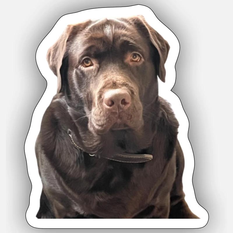 Barney Sticker Größe S (10 x 10 cm)