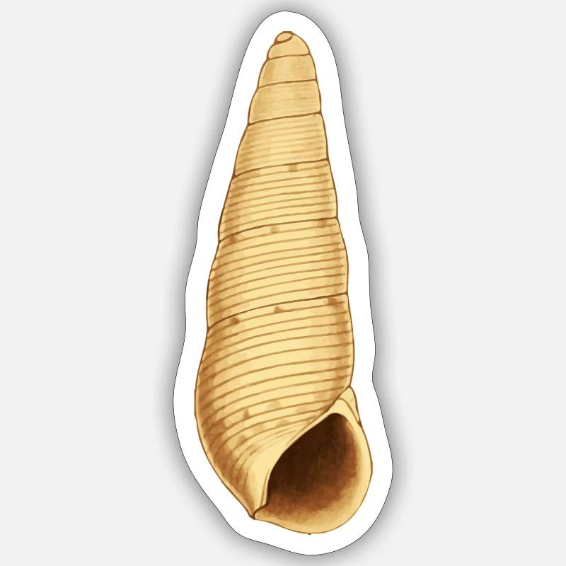 Shell Illustration - Sticker size S (10 x 10 cm) - white matte