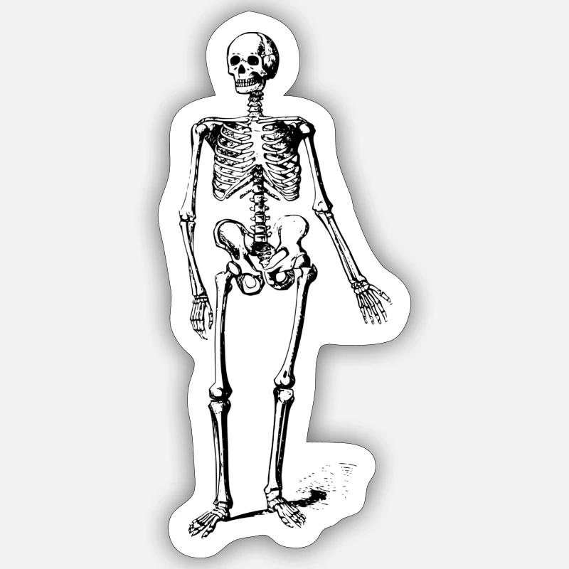skelet - Sticker størrelse S (10 x 10 cm) - mat hvid