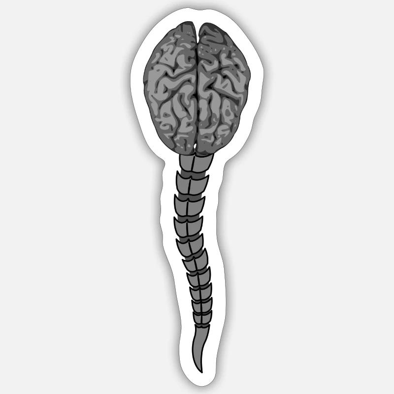 brain, spine, - Sticker size S (10 x 10 cm) - white matte