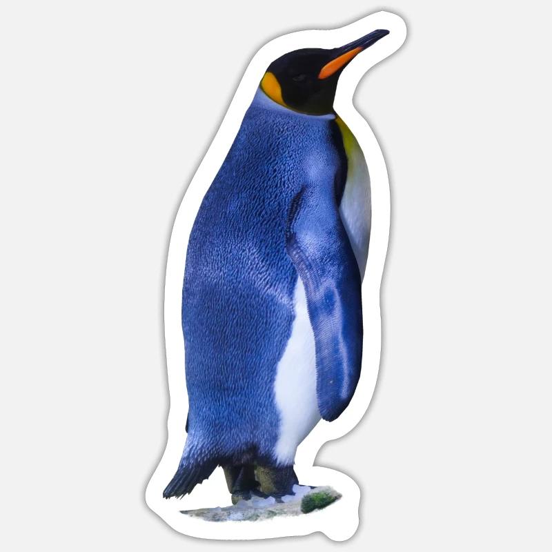 Pinguine sind flugunfähig, aber gute Schwimmer - Sticker Größe S (10 x 10 cm) - Mattweiß