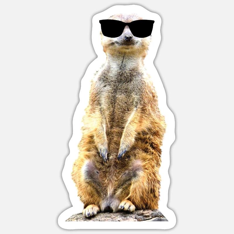 Erdmännchen cool drollig witzig mit Sonnenbrille Sticker Größe S (10 x 10 cm)