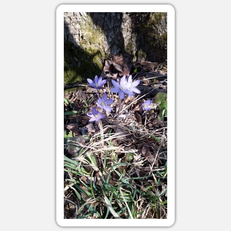 Source Sticker taille S (10 x 10 cm)